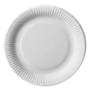 Borden Rond Wit Karton 23 cm (100 stuks)