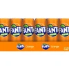 Fanta orange blik (24x 33cl)