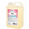 Frusco milkshakesiroop cocos 2 liter