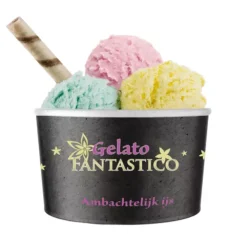 Gelato Ijsbeker (50x240ml)