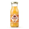 Schulp Ambachtelijk Sinaasappelsap Glazen Flesje (15x 20cl)