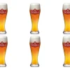 Texelse Skuumkoppe Glas (6x 30cl)