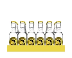 Thomas Henry Tonic Water Flesje (24x 20cl)