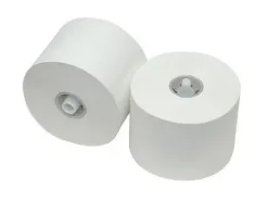 Toiletpapier met dop recycled 2 laags (36x 100m)